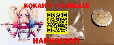 СК Кингисепп