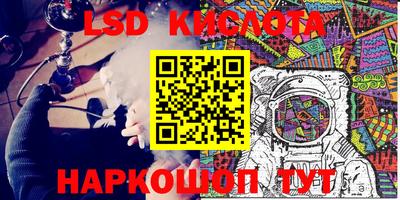 СК Кингисепп