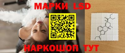 СК Кингисепп