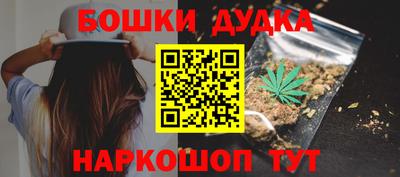 СК Кингисепп