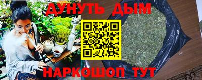 СК Кингисепп