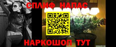 ECSTASY Кинель