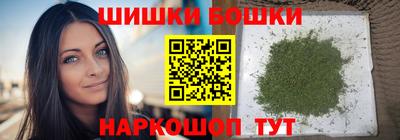 СК Кингисепп