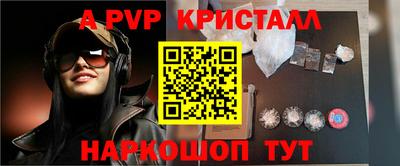 СК Кингисепп