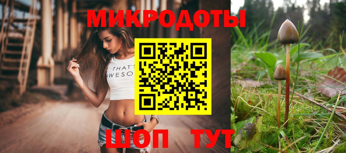 Псилоцибиновые грибы MAGIC MUSHROOMS Якутск