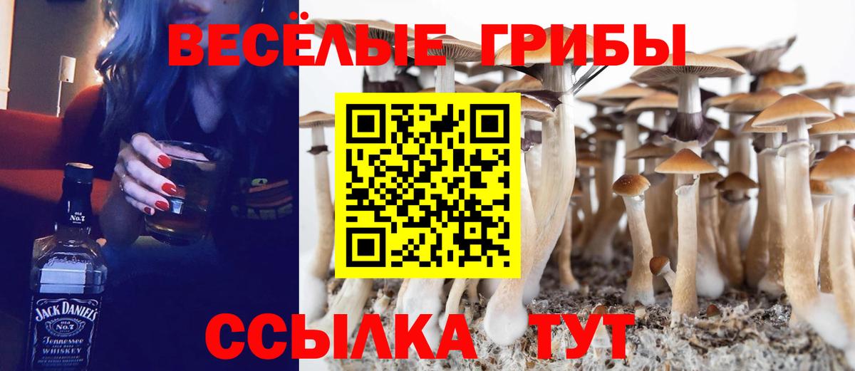 Якутск  Галлюциногенные грибы Cubensis  Вход с VPN  Псилоцибиновые грибы Psilocybe 